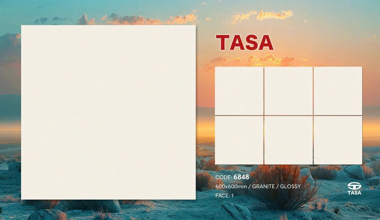 Gạch lát nền Tasa 60x60 6848