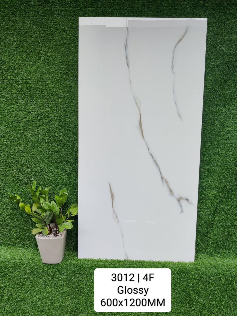 Gạch Ấn Độ 60x120 Carara Ice MTH 3012 2