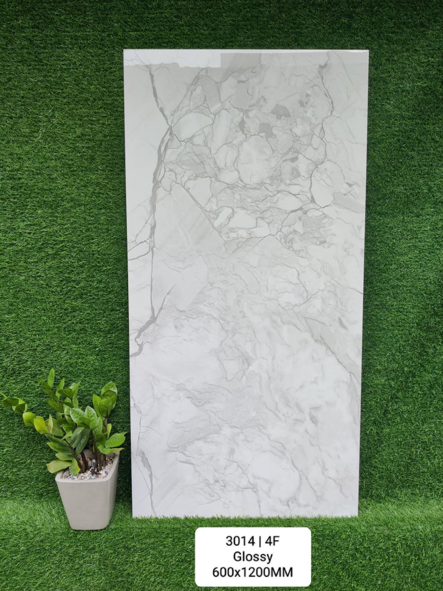 Gạch Ấn Độ 60x120 Flash White MTH 3014 5
